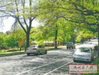 周边绿化