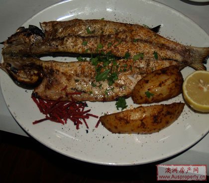 Mohr Fish