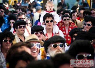 新州小镇“猫王节”1.5万乐迷蜂拥而至