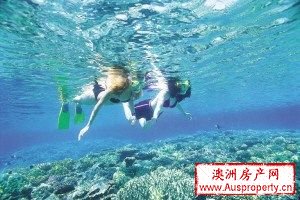 点击图片浏览更多精彩内容